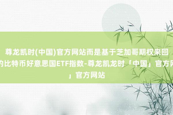 尊龙凯时(中国)官方网站而是基于芝加哥期权来回所的比特币好意思国ETF指数-尊龙凯龙时「中国」官方网站