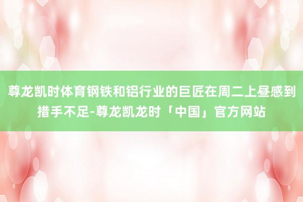 尊龙凯时体育钢铁和铝行业的巨匠在周二上昼感到措手不足-尊龙凯龙时「中国」官方网站