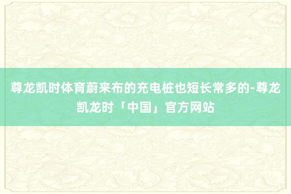 尊龙凯时体育蔚来布的充电桩也短长常多的-尊龙凯龙时「中国」官方网站