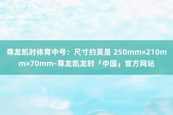 尊龙凯时体育中号：尺寸约莫是 250mm×210mm×70mm-尊龙凯龙时「中国」官方网站