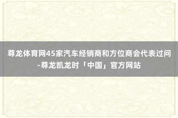 尊龙体育网45家汽车经销商和方位商会代表过问-尊龙凯龙时「中国」官方网站