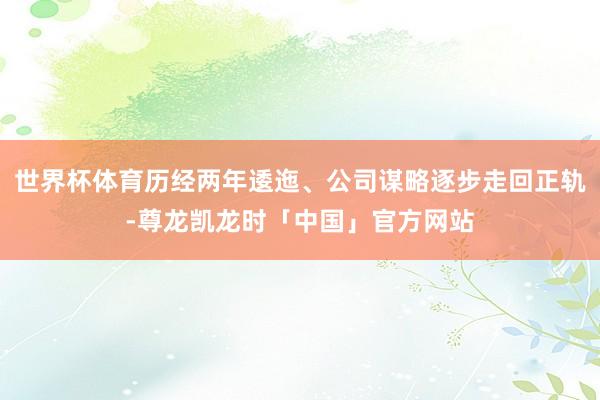 世界杯体育历经两年逶迤、公司谋略逐步走回正轨-尊龙凯龙时「中国」官方网站