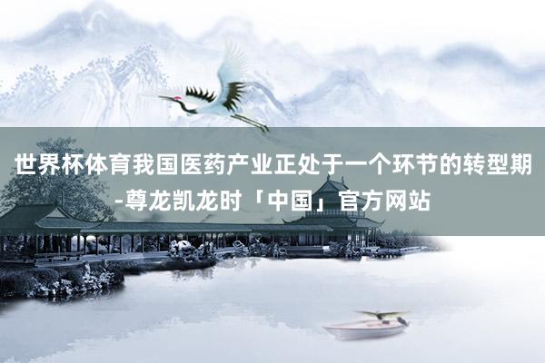 世界杯体育我国医药产业正处于一个环节的转型期-尊龙凯龙时「中国」官方网站