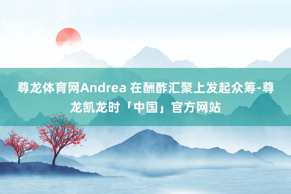 尊龙体育网Andrea 在酬酢汇聚上发起众筹-尊龙凯龙时「中国」官方网站