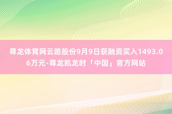 尊龙体育网云路股份9月9日获融资买入1493.06万元-尊龙凯龙时「中国」官方网站