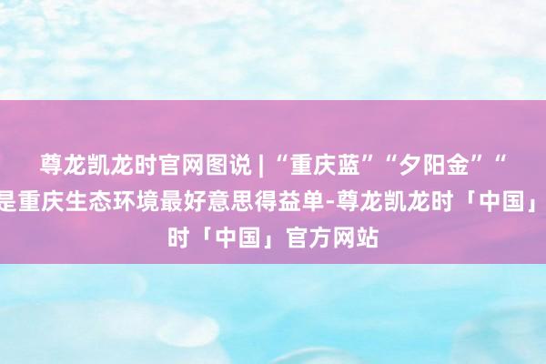 尊龙凯龙时官网图说 | “重庆蓝”“夕阳金”“嘉陵海”是重庆生态环境最好意思得益单-尊龙凯龙时「中国」官方网站