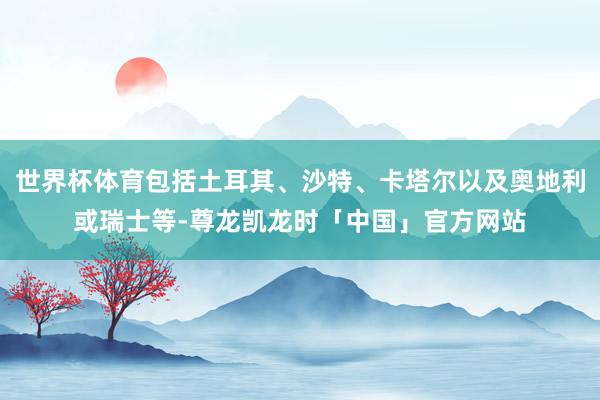 世界杯体育包括土耳其、沙特、卡塔尔以及奥地利或瑞士等-尊龙凯龙时「中国」官方网站