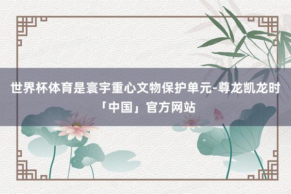 世界杯体育是寰宇重心文物保护单元-尊龙凯龙时「中国」官方网站