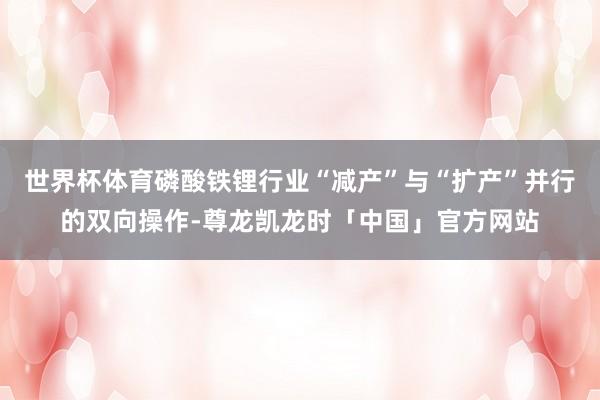 世界杯体育磷酸铁锂行业“减产”与“扩产”并行的双向操作-尊龙凯龙时「中国」官方网站
